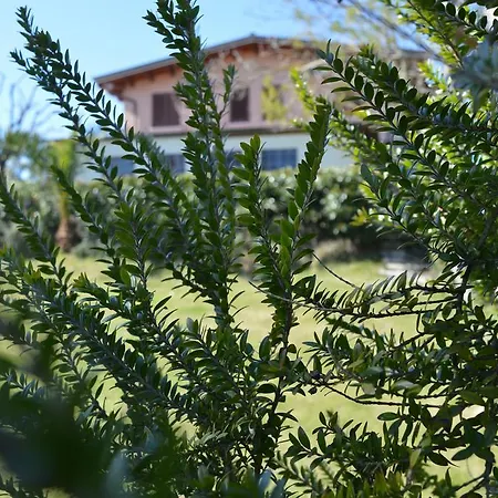 Country House Il Papavero Rosso