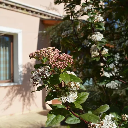 Casa di campagna Country House Il Papavero Rosso *