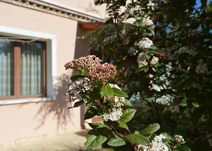 Casa di campagna Country House Il Papavero Rosso *